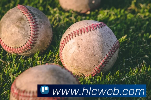 奇异果官网 - 奇异果(中国)平台生态图