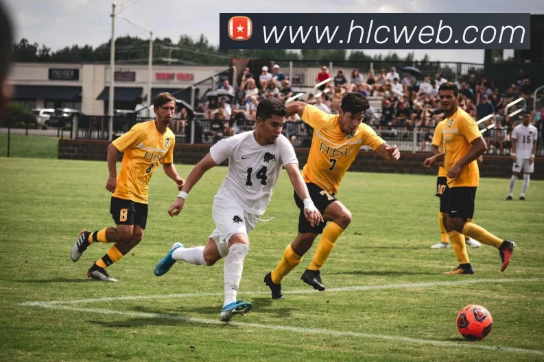 奇异果官网 - 奇异果(中国)APP 封面图